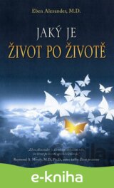 Jaký je život po životě