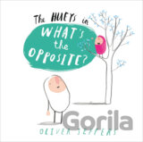 What's the Opposite?