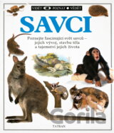 Savci