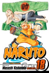 Naruto, Vol. 18: Tsunade's Choice