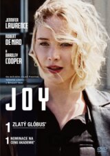 Joy (2015)
