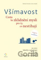 Všímavost