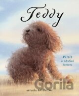 Teddy