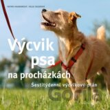 Výcvik psa na procházkách
