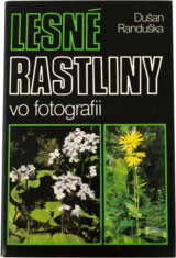 Lesné rastliny vo fotografii