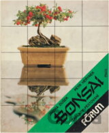 Bonsai : základy pěstování