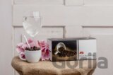 Ani Reishi Black Coffee
