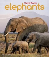 Elephants