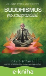 Buddhismus pro zaneprázdněné