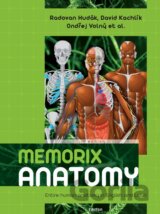 Memorix Anatomy