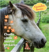 Kouzelní koníci
