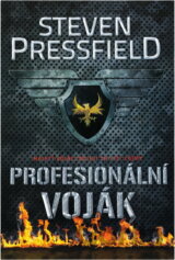 Profesionální voják