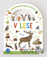 Spoznávám hlasy zvierat: V lese