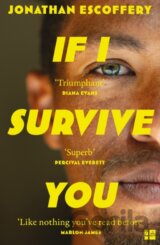 If I Survive You