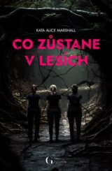 Co zůstane v lesích