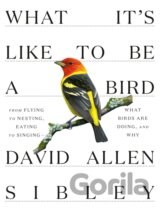 What It's Like to be a Bird