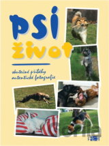 Psí život : skutečné příběhy, autentické fotografie