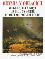 Odvaha v oblacích : velké letecké bitvy od bojů na Sommě po operaci Pouštní bouře