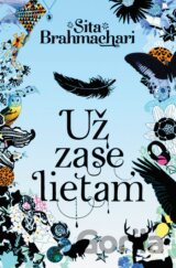Už zase lietam