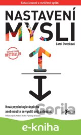 Nastavení mysli