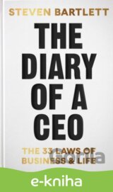 The Diary of a CEO