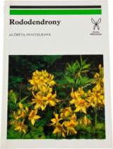 Rododendrony