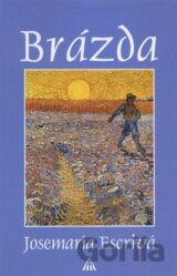 Brázda