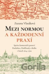 Mezi normou a každodenní praxí
