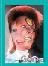 The Rise of David Bowie. 1972–1973