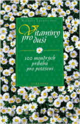 Vitamíny pro duši : 100 moudrých příběhů pro potěšení