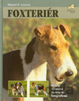 Foxteriér