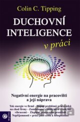 Duchovní inteligence v práci