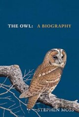 The Owl