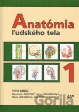 Anatómia ľudského tela 1