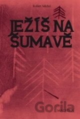 Ježíš na Šumavě