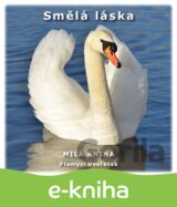 Smělá láska