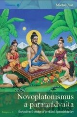 Novoplatonismus a paramádvaita