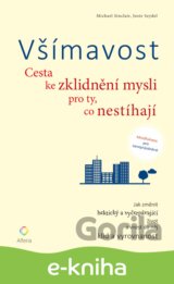 Všímavost