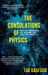 The Consolations of Physics