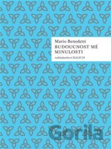 Budoucnost mé minulosti