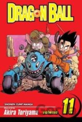 Dragon Ball 11