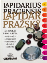 Lapidář pražský = Lapidarius pragensis