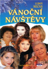 Vánoční návštěvy