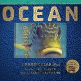 Ocean