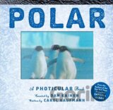 Polar