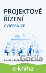 Projektové řízení