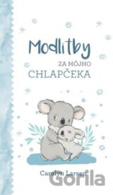 Modlitby za môjho chlapčeka