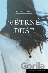 Větrné duše