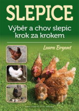 Slepice