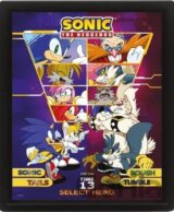 Sonic 3D obraz - Select your Fighter